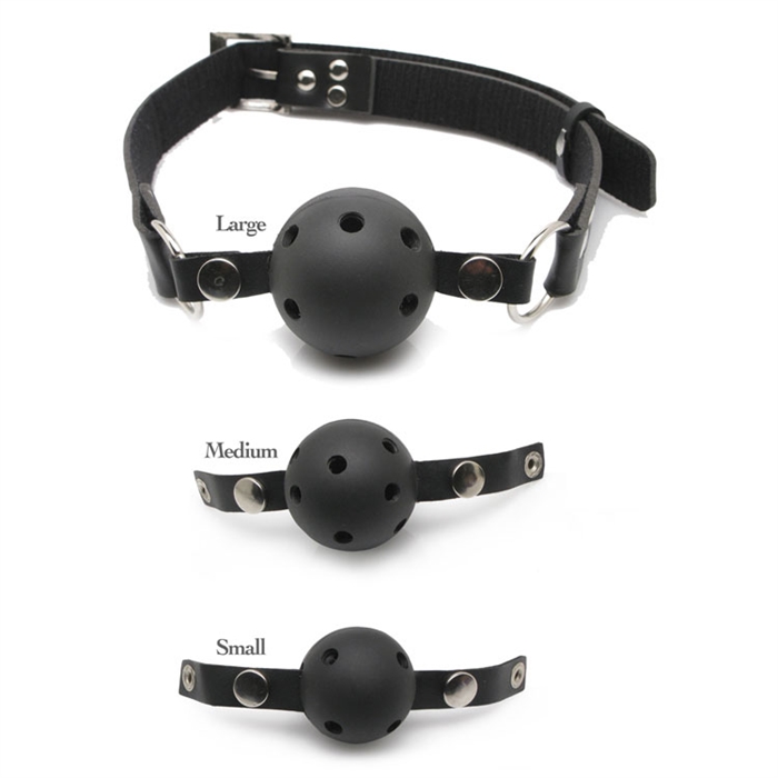 Picture of FF BALL GAG TRAINING SYSTEM