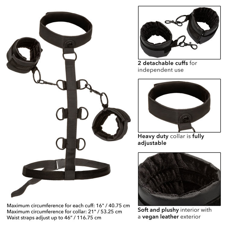 Picture of Free gift - Boundless - Collar Restraint