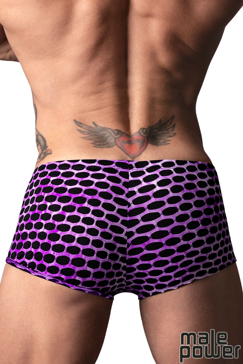 Picture of Lingerie, Short, Sting Me Daddy Mini Short, Purple-Black, L, -MP145-911