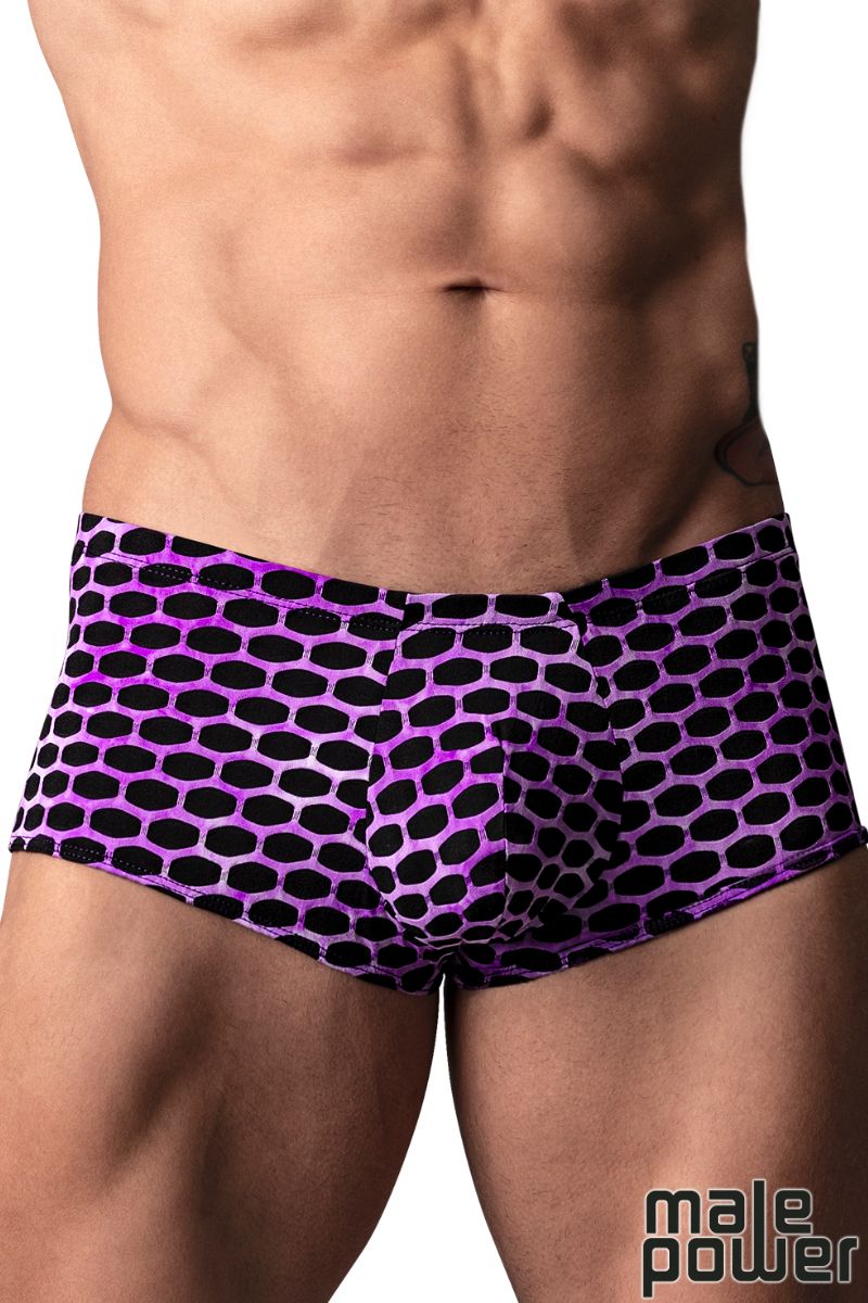 Picture of Lingerie, Short, Sting Me Daddy Mini Short, Purple-Black, L, -MP145-911