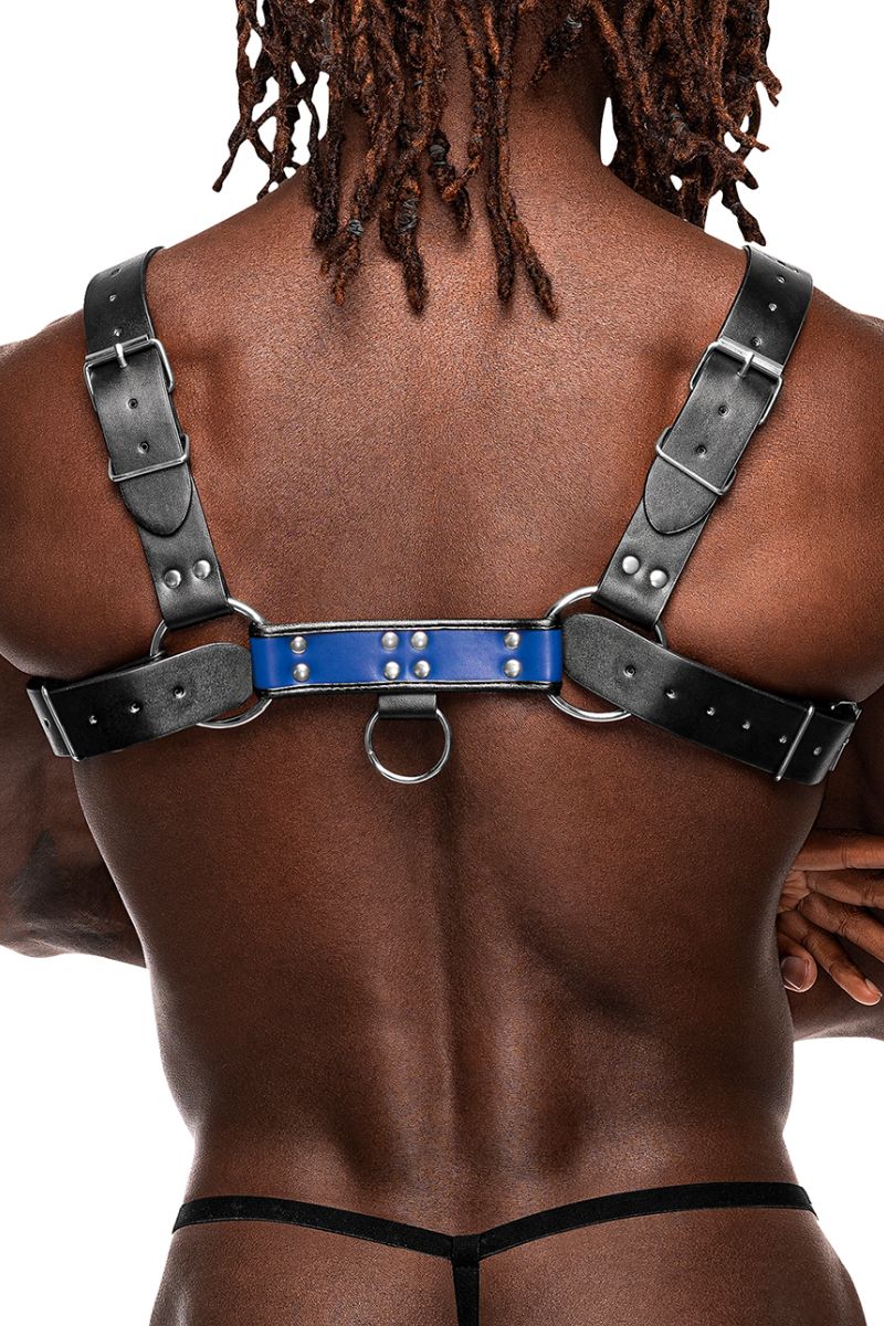 Picture of Accessorie, Fetish, Pu Leather Chest Harness, Blue-Black, O/S, -MP590-266