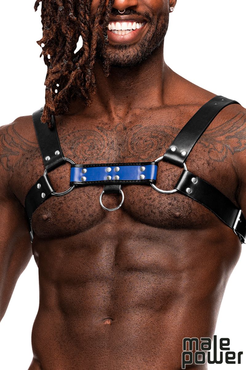 Picture of Accessorie, Fetish, Pu Leather Chest Harness, Blue-Black, O/S, -MP590-266